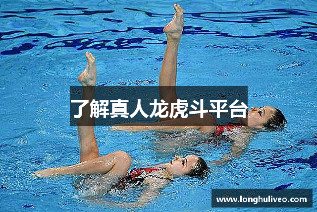 了解真人龙虎斗平台